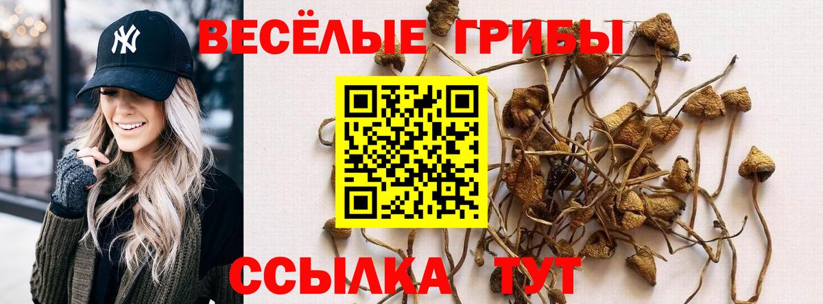 Псилоцибиновые грибы прущие грибы Выборг